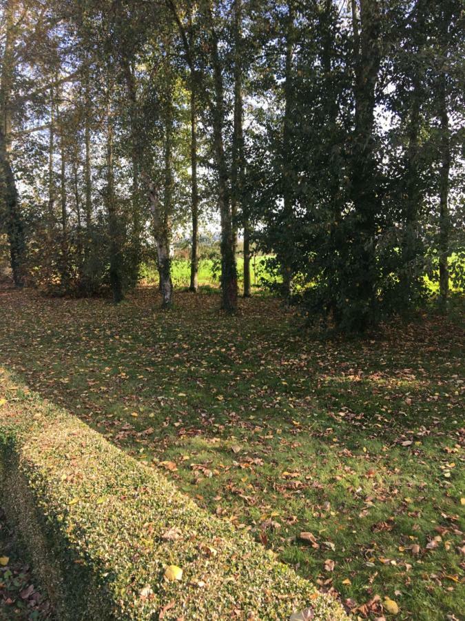 شقة Au Coeur De La Flandre Noordpeene المظهر الخارجي الصورة