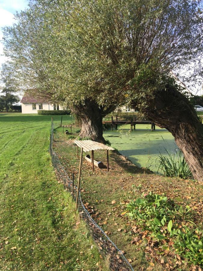 شقة Au Coeur De La Flandre Noordpeene المظهر الخارجي الصورة