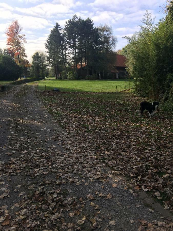 شقة Au Coeur De La Flandre Noordpeene المظهر الخارجي الصورة