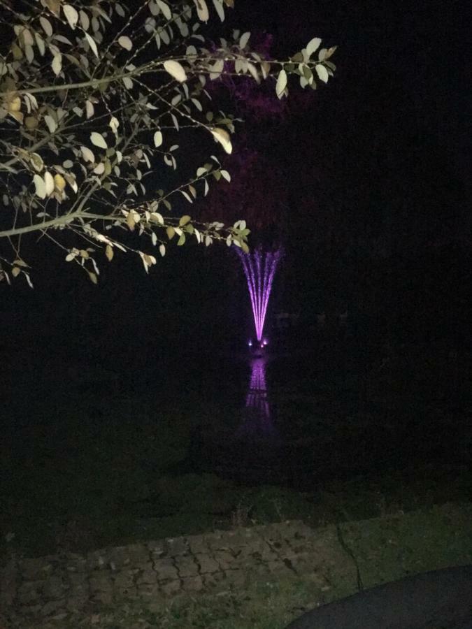 شقة Au Coeur De La Flandre Noordpeene المظهر الخارجي الصورة